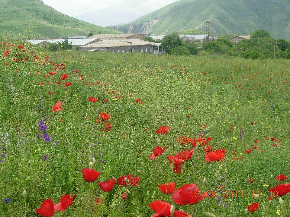 Azoyan Holiday Resort Sisian Exterior photo